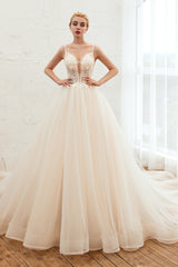Elegant Long Appliques Lace Tulle A-line Wedding Dress